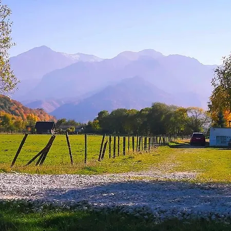 Casa Viki *